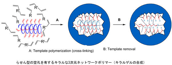 らせん型の空孔を有するキラルな3次元ネットワークポリマー（キラゲルの合成）
